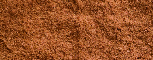 Camu Camu C++ Powder 30:1