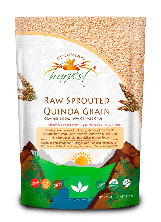 Raw Sprouted Quinoa Grain