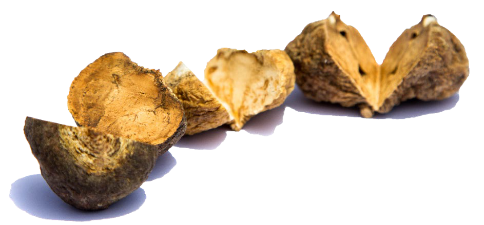 Black, purple and yellow Maca