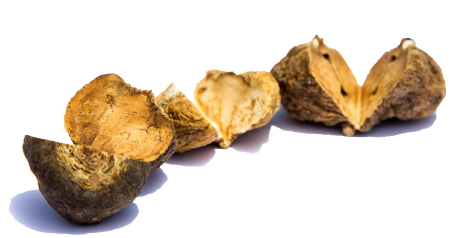 Black, purple and yellow Maca