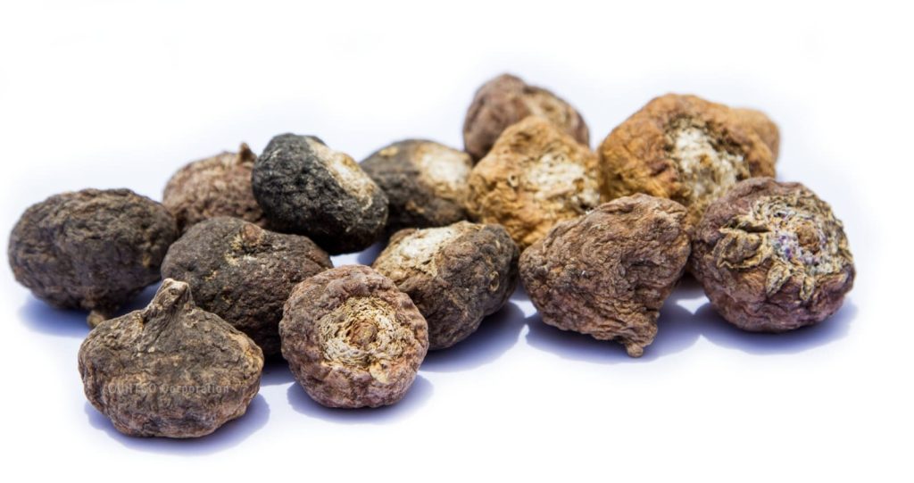 Black, purple and yellow maca