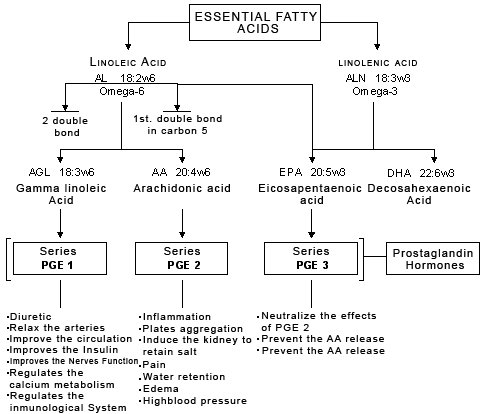Importance of essential fatty acids diagram