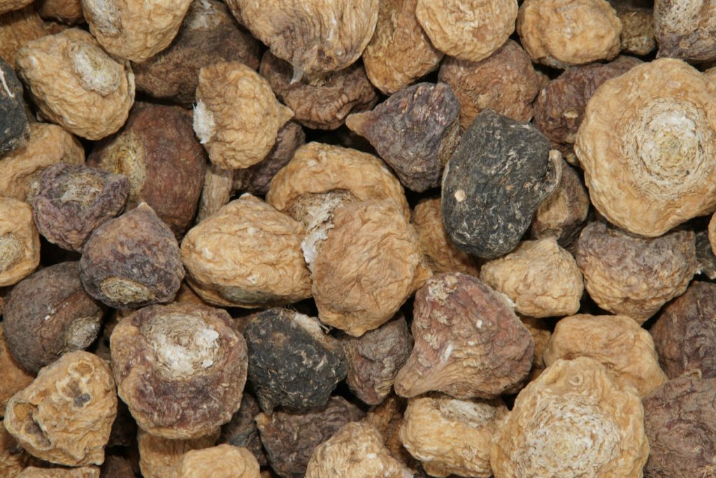 Maca roots