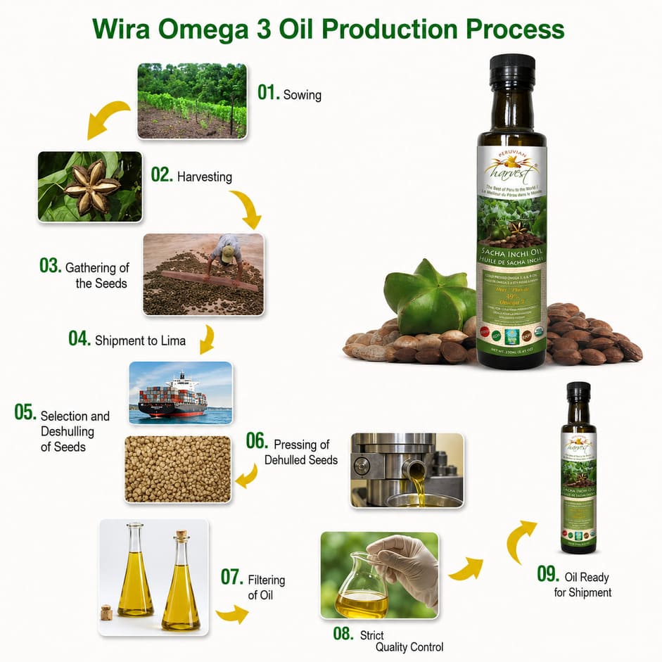Wira Omega 3 Oil production process