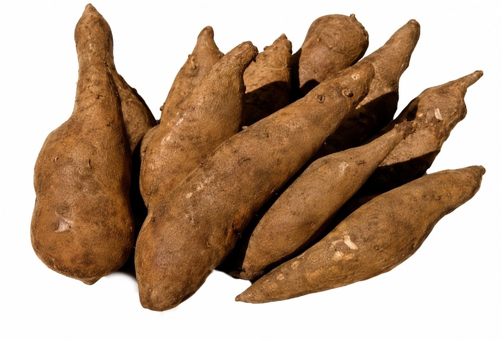 Yacon root