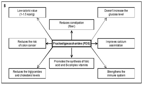 Diagram of health effects associated with FOS consumption