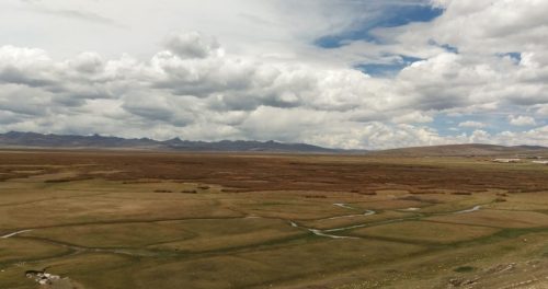 Maca Research Center MacaPro